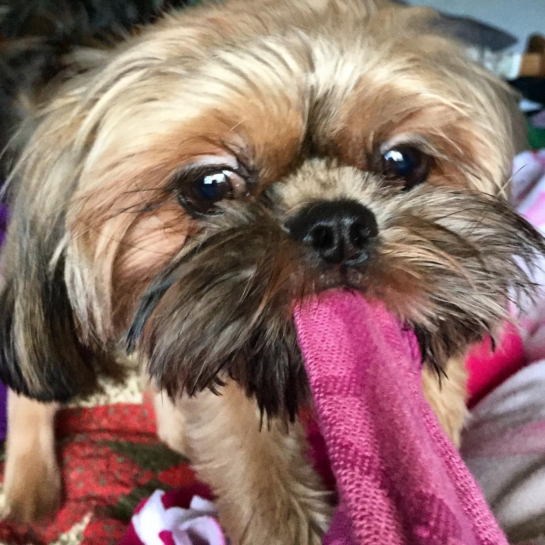 23632503_10214768907647215_8029980126855615975_o