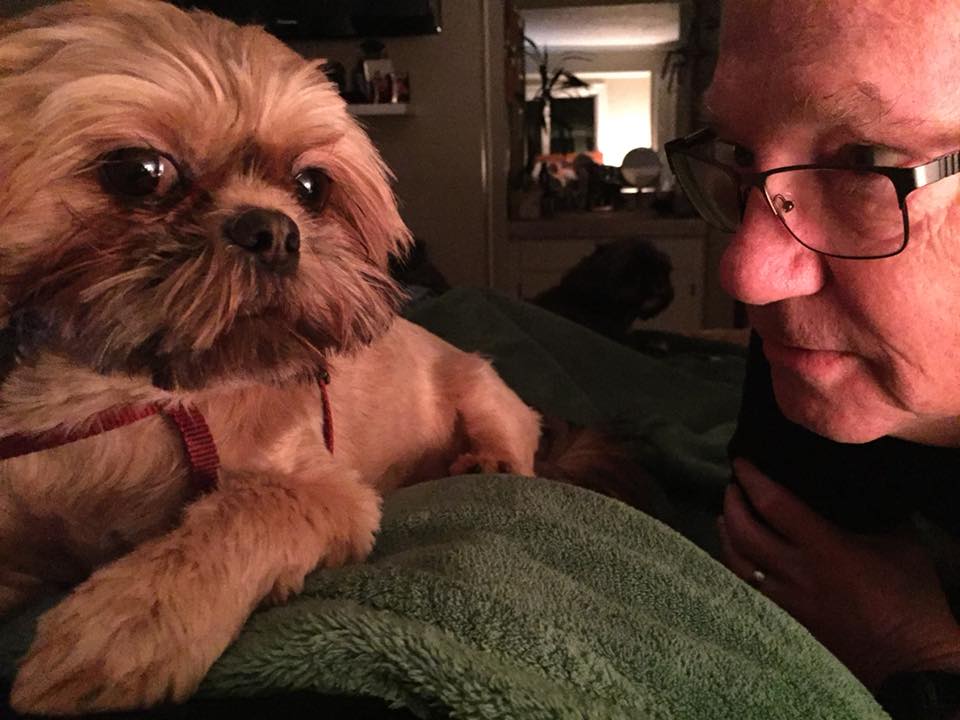 19260253_10215322446725346_7469428027995073498_n