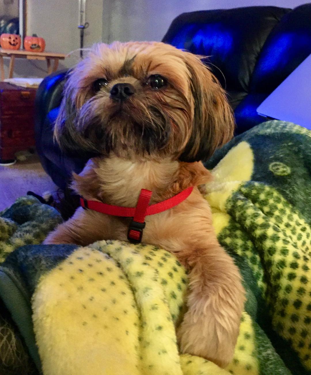 23511360_10214738359403528_2894935342382264166_o (1)