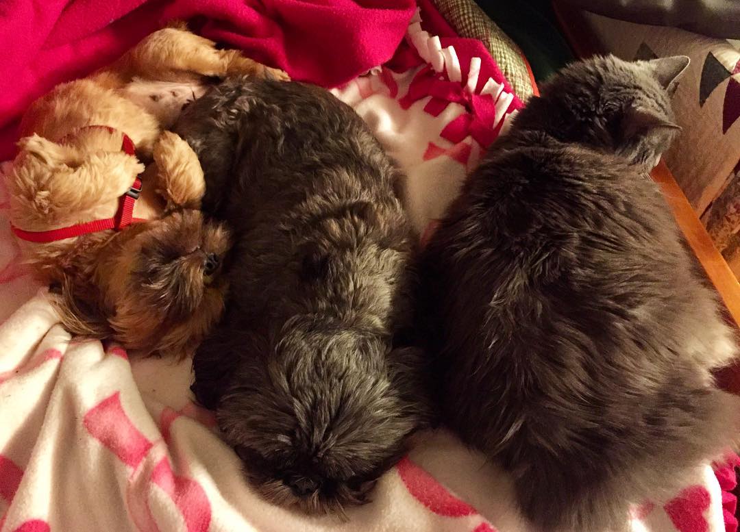 23550928_10214741678566505_7443753932550164321_o