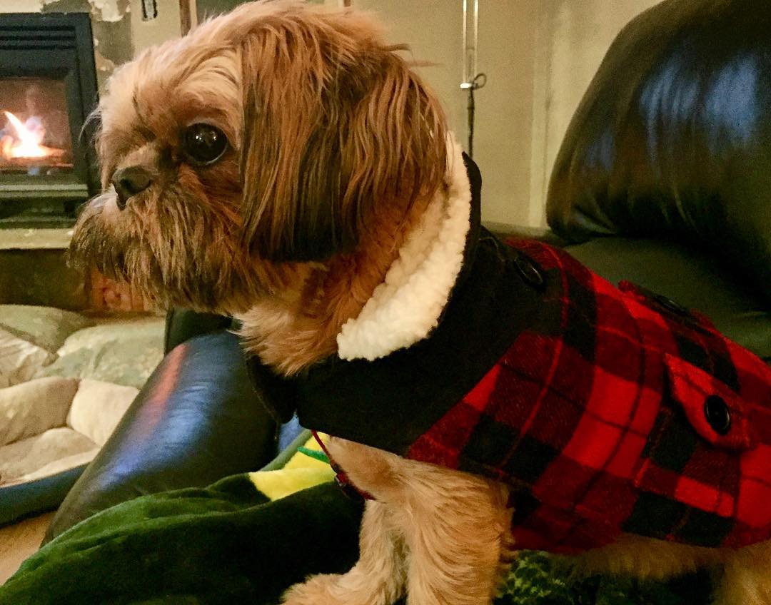 23631978_10214772109607262_7339374885234389392_o