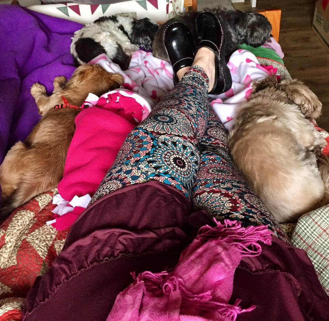 23632004_10214769964273630_1816219163162962637_o