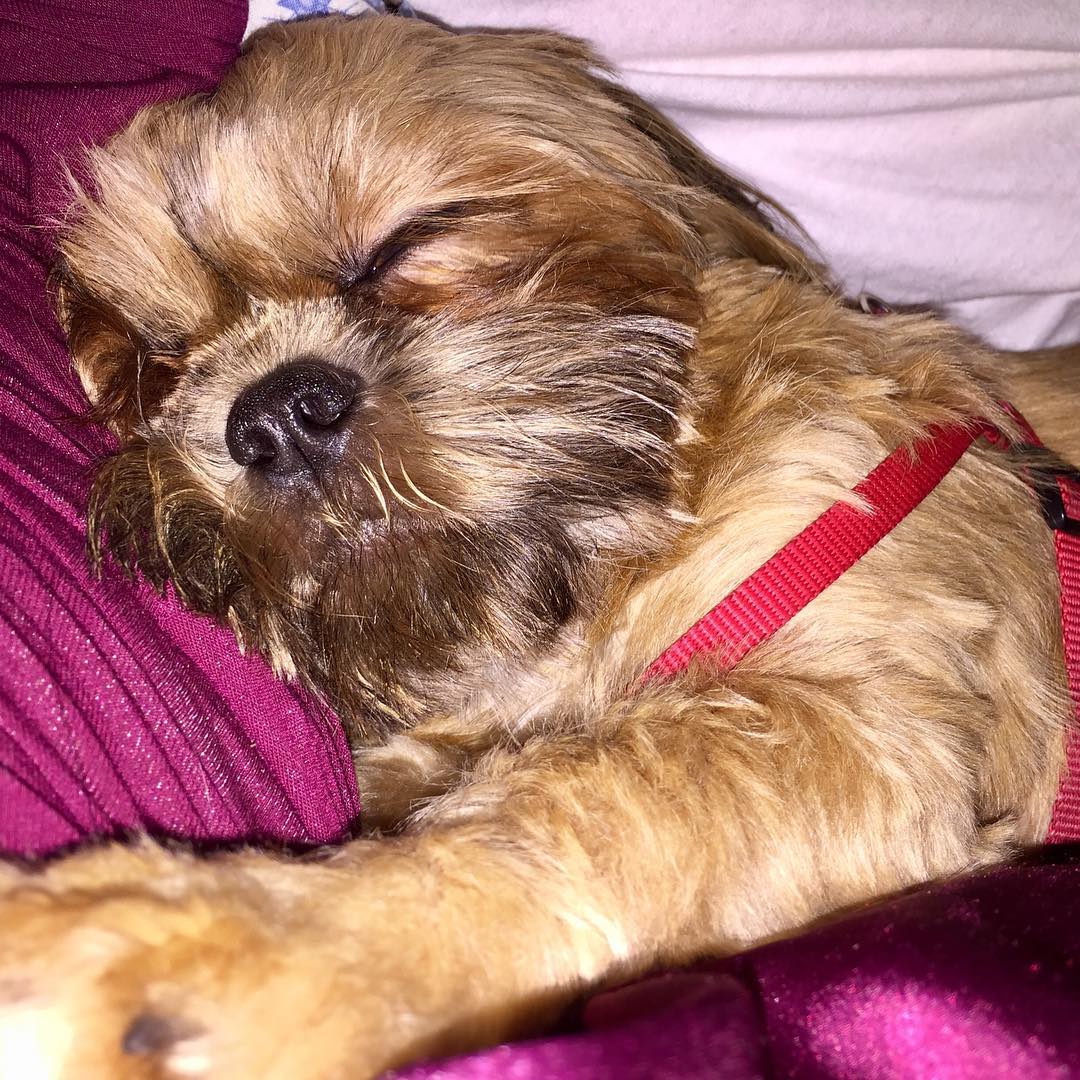 23674876_10214776736802939_406775578664849204_o