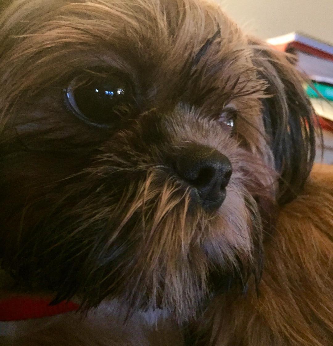 23737772_10214805672286308_7932892546707139253_o