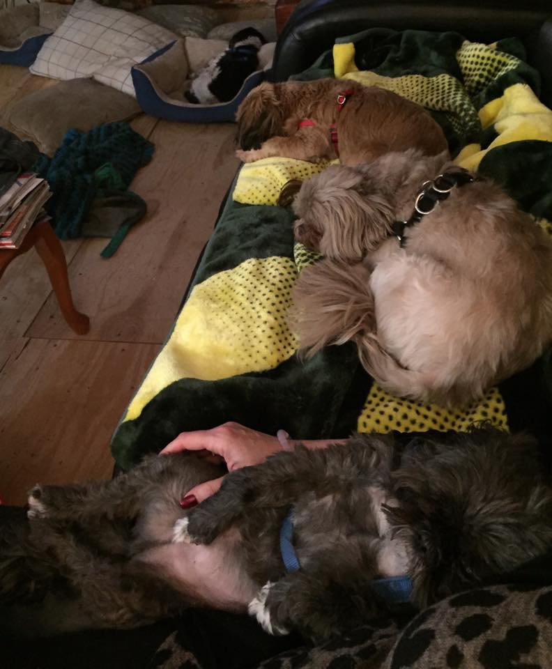 23794825_10214790395704403_9117163743507773537_n