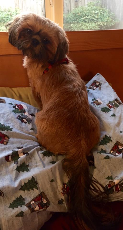 23795633_10214785961073540_6193769307269135079_n