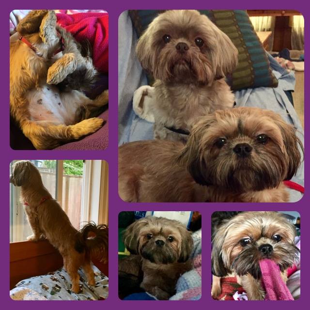 23795838_10214823832340298_2187701378783871655_n