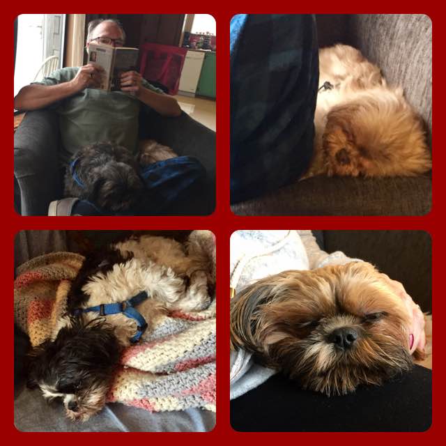 23843261_10214836390374241_3832018534039311976_n