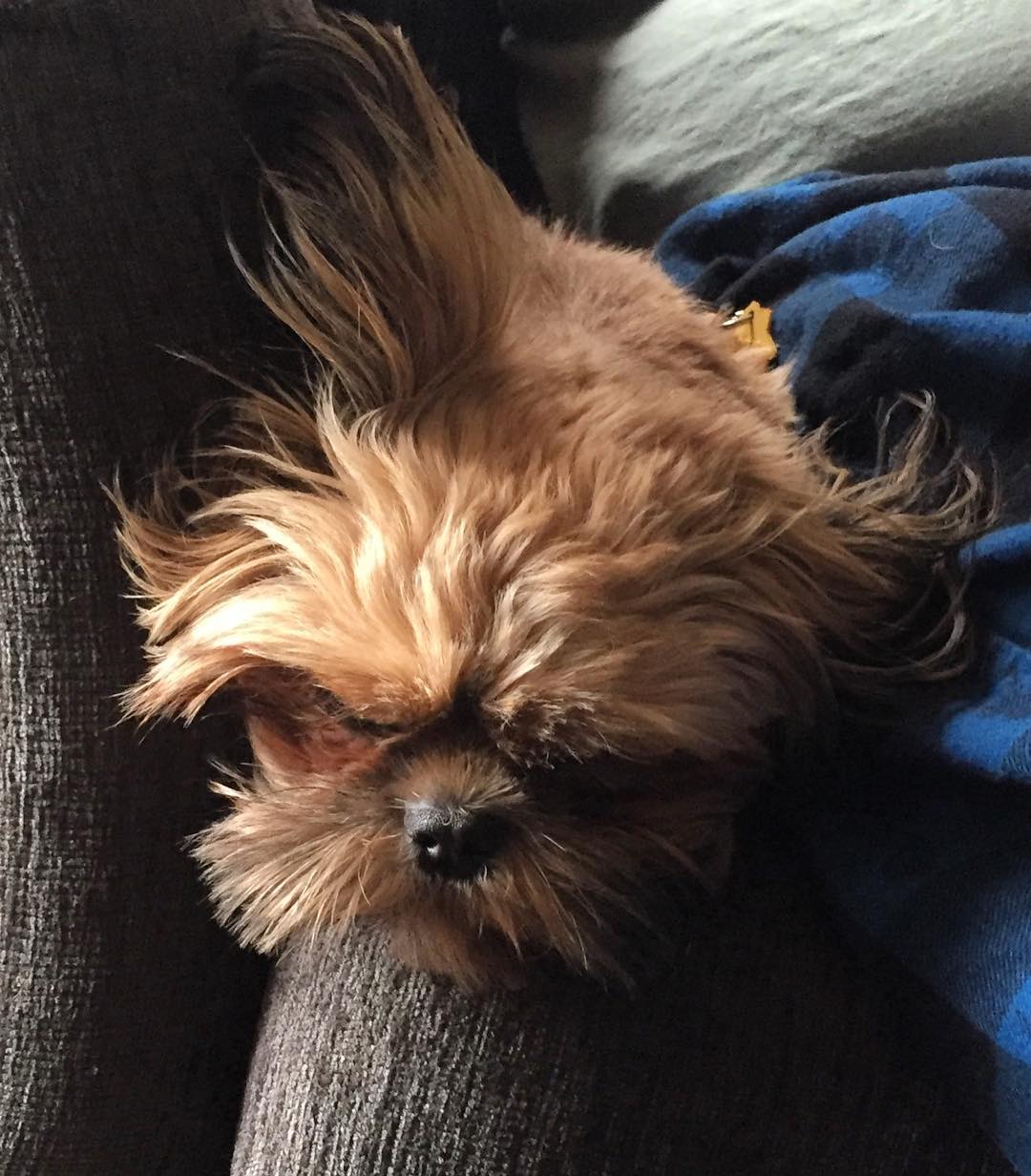 23845974_10214828288731705_1572572151090483106_o