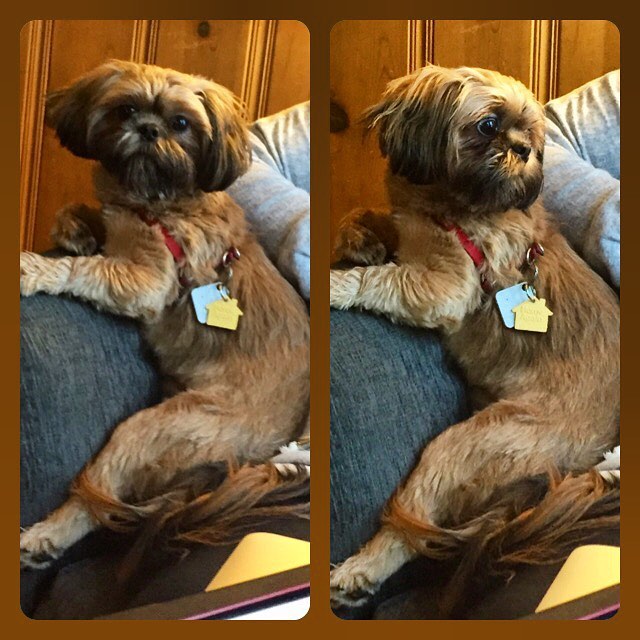 24058849_10214835968523695_5214202640600717285_n