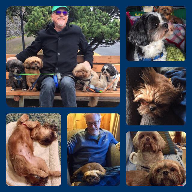 24174511_10214880455035830_4525459826997482559_n