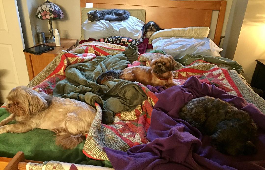 24291827_10214883836400362_259469944673226368_o