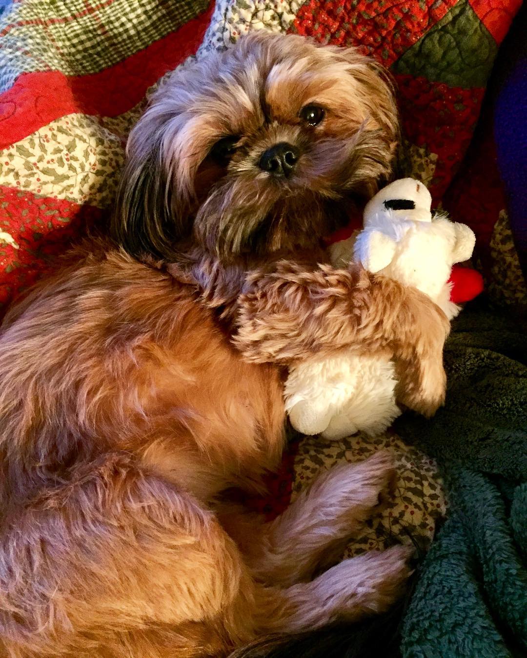 24297297_10214901646885613_5945521142055301882_o