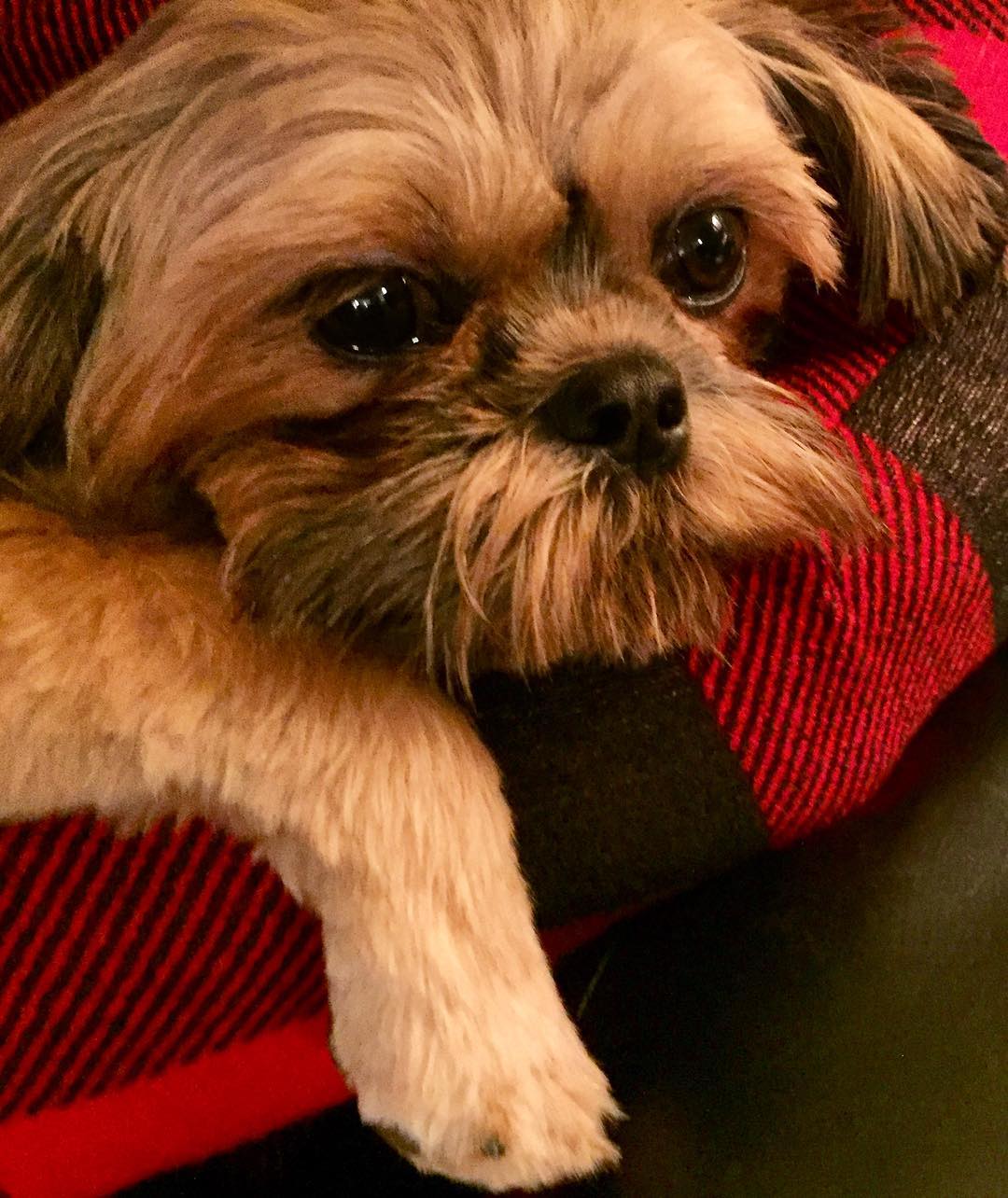 24879647_10214941693926764_132545447706070837_o