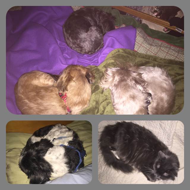 24991099_10214953213854755_4755030843073392417_n