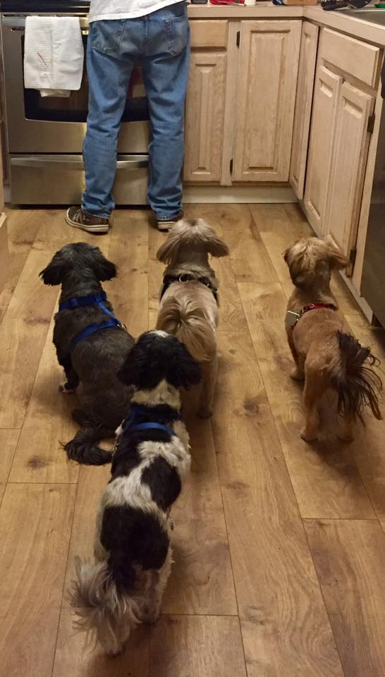 24993197_10214941746208071_1457307329987392605_n