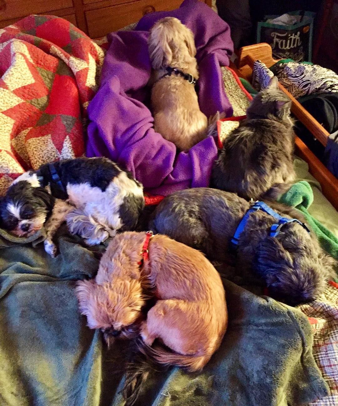 25299875_10214990115217266_1600692831947320363_o