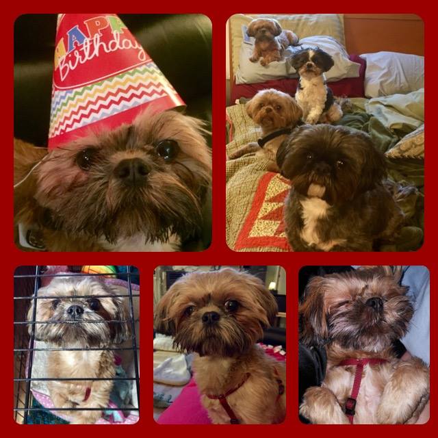 25552270_10215066662370897_1939327500162780055_n