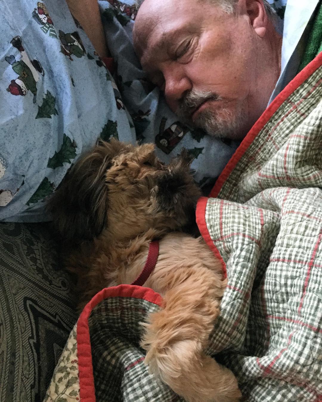 25790947_10215092860505834_8757039426105331970_o