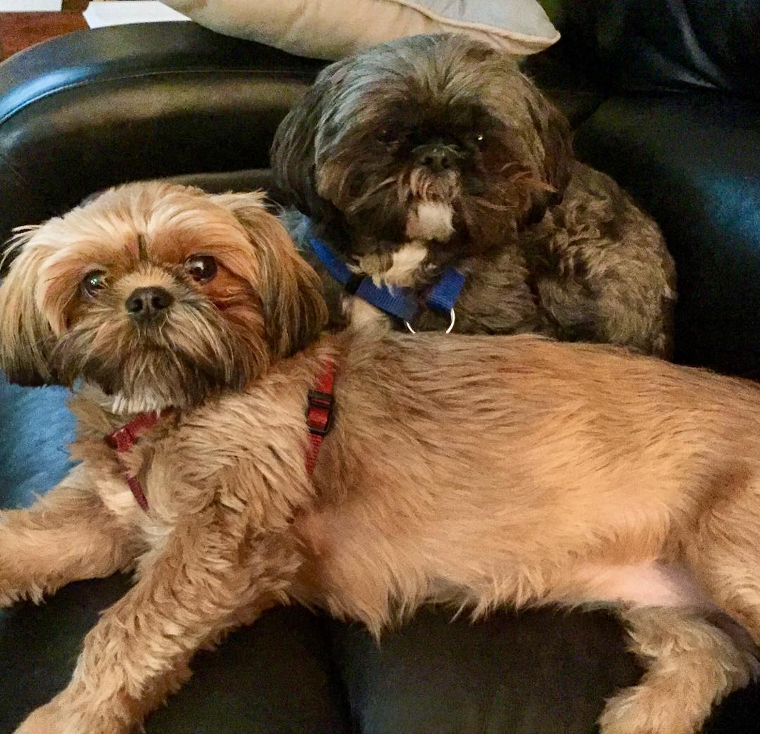 26232203_10215201941392788_6232522416466856867_o (1)