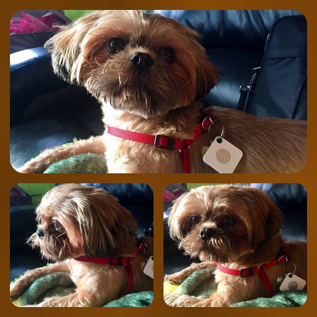 26815132_10215308504616802_7695404744134075328_n