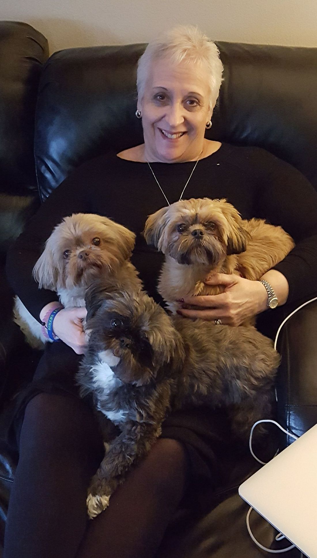 26850256_1722950811058022_4839900751247612485_o