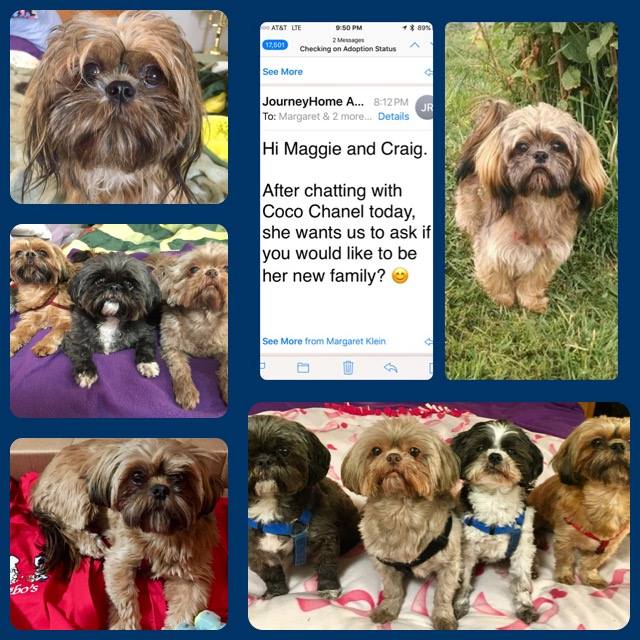 26906935_10215301024789811_3000325364343759850_n