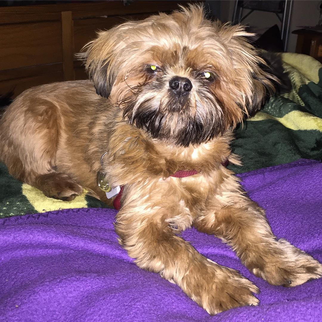 26910801_10215266172158517_7159150868647195436_o