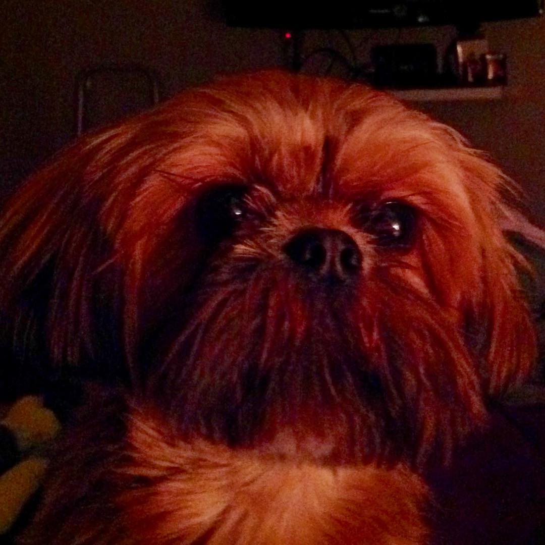 26952117_10215250096356632_2285747570445904658_o