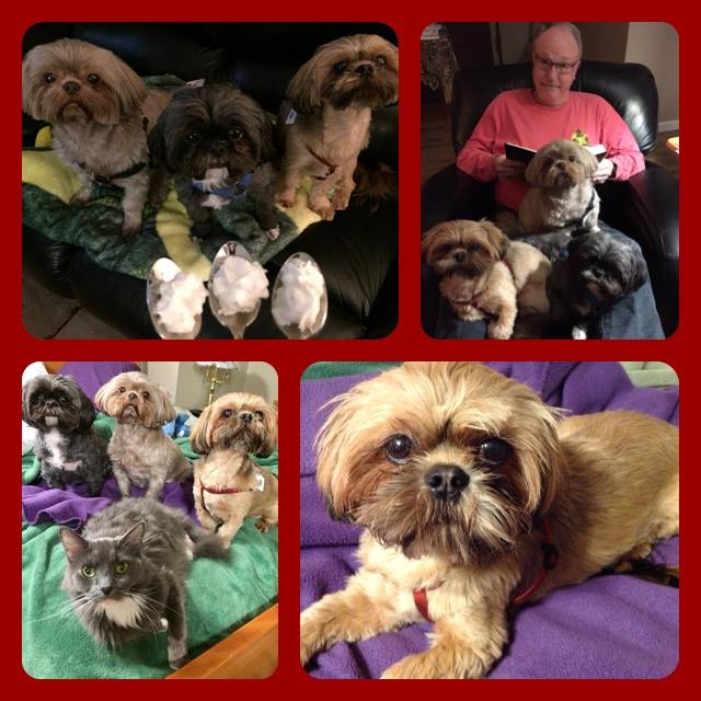 27751894_10215451479671089_882815009000958595_n