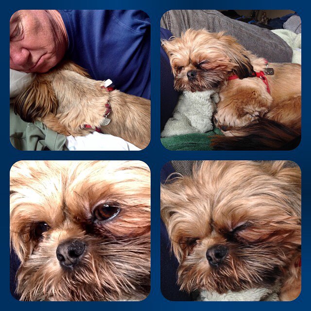 27752341_10215495713616910_458642924815851928_n