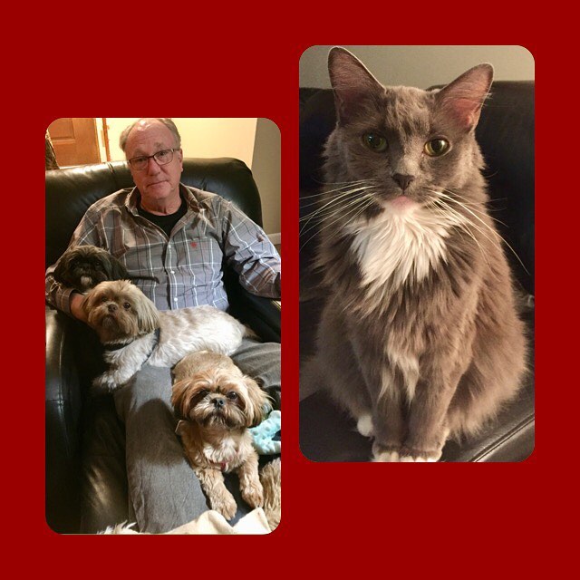 27752538_10215487087441261_6814251158839582228_n