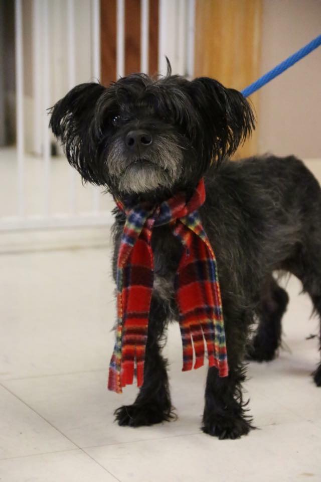 28795046_1982134685383266_4925431635643465728_n